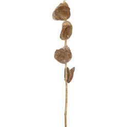 Kwantum Kunstplanten & Kunstbloemen*Kunsttak Capiz Taupe